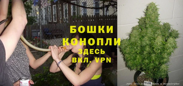 гашик Володарск