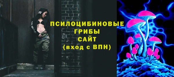 гашик Володарск